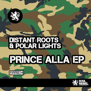 Polar Lights