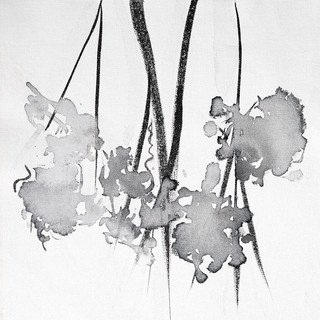 Cory James