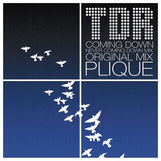 TDR