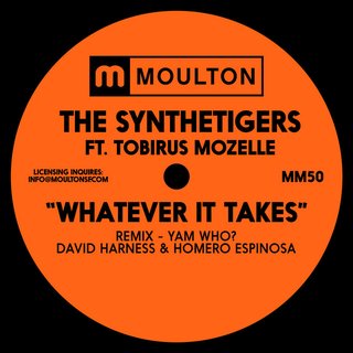 The SyntheTigers