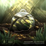 View Shadow (Acoustic) (Original Mix) track details