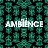 View Ambience track details