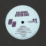 View Precinct 9 (Ex-Terrestrial's Extremix) track details