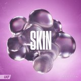 View Skin (Original Mix) track details