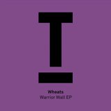 View Everyone (Original Mix) track details