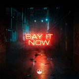 View Say It Now (Extended Edit) track details