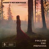 View Follow The Princess (Original Mix) track details