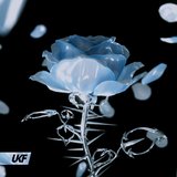 View Stay (Original Mix) track details