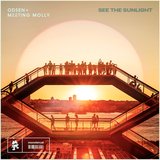 View See The Sunlight (Extended Mix) track details