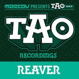 View Reaver (Save The Robot Remix) track details