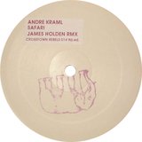 View Safari (James Holden Remix) track details