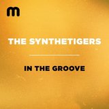 View In The Groove track details