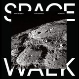 View Space Walk (Synthapella) track details