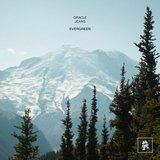 View Evergreen (Original Mix) track details