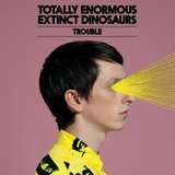 View Trouble track details