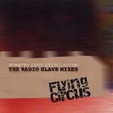 View Love Stimulation (Radio Slave Full Length Remix) track details