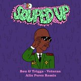 View Veteran (Alix Perez Remix) track details