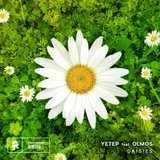 View Daisies (Original Mix) track details