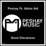 View Good Vibrations track details