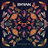 View Paradigm track details