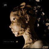 View Falling (Original Mix) track details