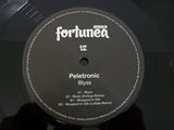 View Blyss (Demuja Remix) track details