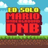 View Mario Underground DnB (DJ Mix) track details