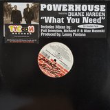 View What You Need (Richard F. Vox Dub) track details
