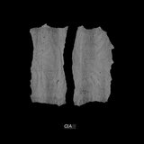 View Fallen Angel (L-Side Remix) track details