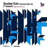 View Firework (MK & MTV Remix) track details
