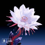View Undefined (Original Mix) track details