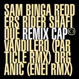View Vandilero (Particle Remix) track details