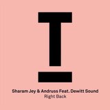 View Right Back (Extended Mix) track details