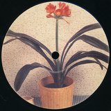View Serenity Through Pain track details