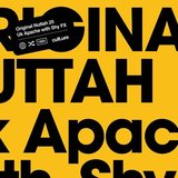 View Original Nuttah 25 (Chase & Status Remix) track details