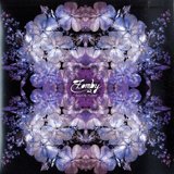 View Digital Fauna track details