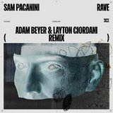 View Rave (Adam Beyer & Layton Giordani Remix) track details