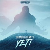 View Yeti track details