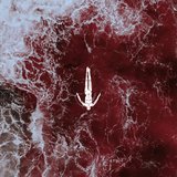 View Loss Of Hope track details