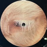 View Filter Feed (Leod Remix) track details