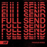 View Full Send (Pirapus Remix) track details