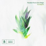 View Eucalyptus (Original Mix) track details