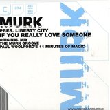 View If You Really Love Someone (Original Mix) track details