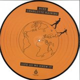 View History (Technimatic Remix) track details
