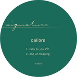 View Falls To You VIP track details