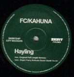 View Hayling (Super Furry Animals Dunk! Dunk! Dunk!) track details