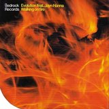View Walking On Fire (Bedrock Dub Mix) track details