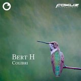 View Colibri (Original Mix) track details
