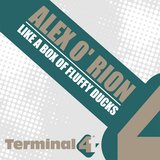 View Like A Box Of Fluffy Ducks (Original Mix) track details