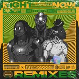 View Right Now (Drumsound & Bassline Smith Remix) track details